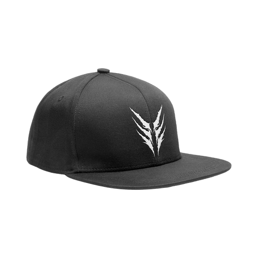 Orbit Culture - Embroidered Logo snapback hat